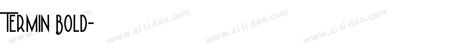 Termin Bold字体转换